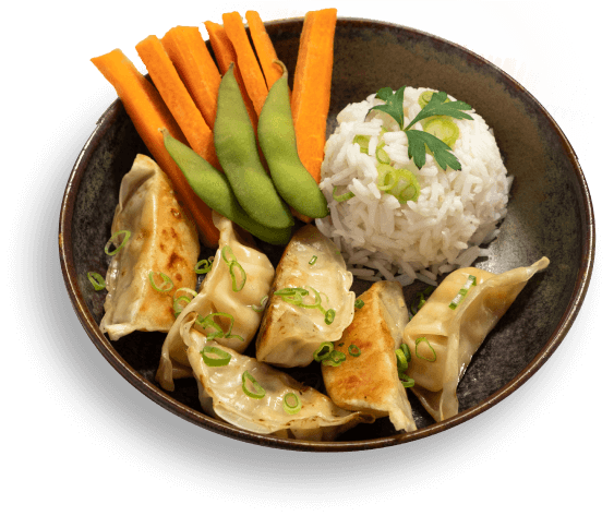 gyoza-ajinomoto-riz-légumes